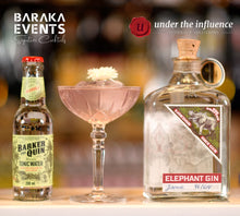 Load image into Gallery viewer, ELEPHANT Gin 750ml
