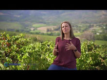 Load and play video in Gallery viewer, BOSMAN Generation 8 Merlot 750ml