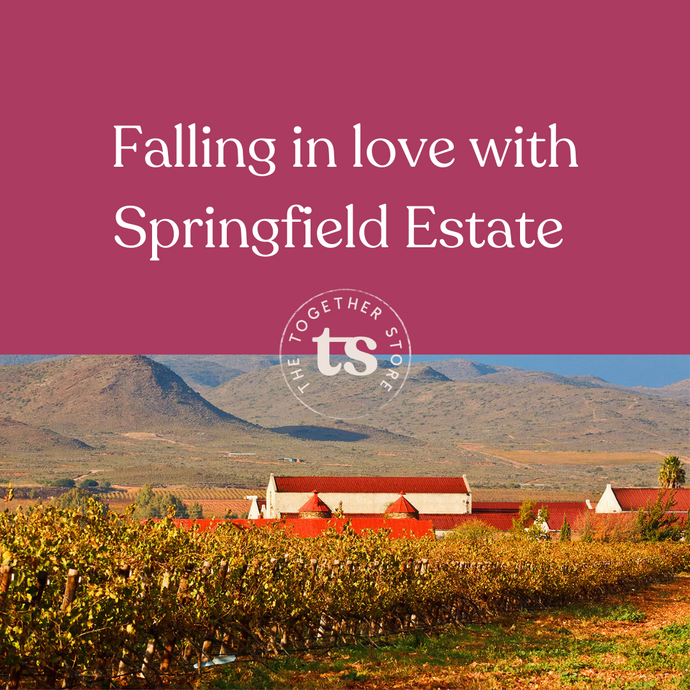 Falling in Love with Springfield Estate